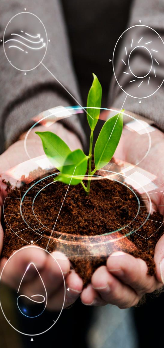 Ellerde Tutan Bitki ve Teknoloji